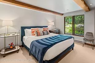 1034 E Cooper Ave, Aspen, CO 81611 - Photo 11