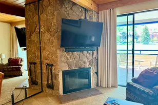 301 E Hyman Ave, Aspen, CO 81611 - Photo 7