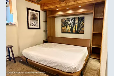 301 E Hyman Avenue #205 (Wks 21,22,38), Aspen, CO 81611 - Photo 5