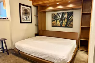 301 E Hyman Ave, Aspen, CO 81611 - Photo 5