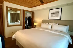 301 E Hyman Ave, Aspen, CO 81611 - Photo 3