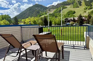 301 E Hyman Ave, Aspen, CO 81611 - Photo 11