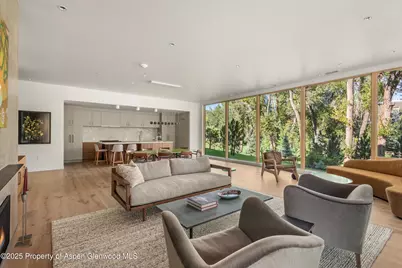 103 Willow Road #207, Basalt, CO 81621 - Photo 3