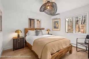 262 Eastwood Dr, Aspen, CO 81611 - Photo 31