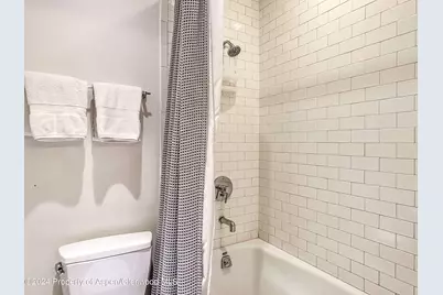 602 W Hallam Street, Aspen, CO 81611 - Photo 35