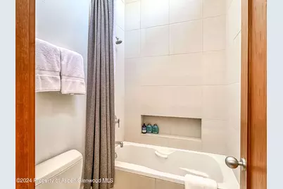 602 W Hallam Street, Aspen, CO 81611 - Photo 27