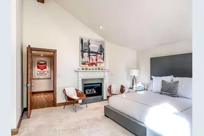 602 W Hallam Street, Aspen, CO 81611 - Photo 21