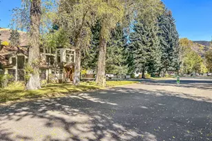 602 W Hallam St, Aspen, CO 81611 - Photo 39