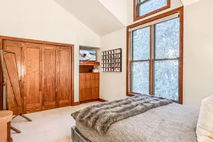 602 W Hallam St, Aspen, CO 81611 - Photo 31