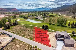 589 Saddleback Rd, Carbondale, CO 81623 - Photo 9