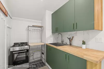 217 W Bleeker Street, Aspen, CO 81611 - Photo 15