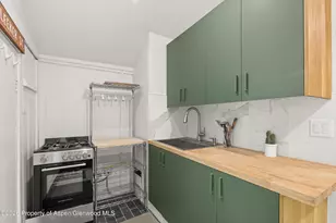 217 W Bleeker St, Aspen, CO 81611 - Photo 15