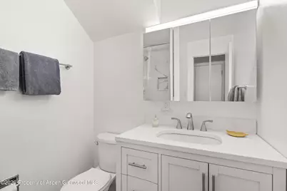 217 W Bleeker Street, Aspen, CO 81611 - Photo 11
