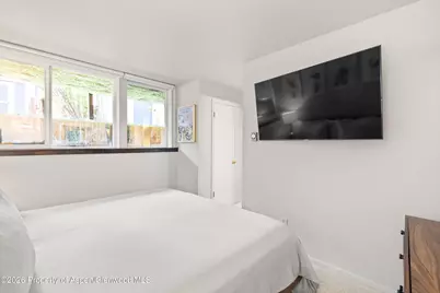 217 W Bleeker Street, Aspen, CO 81611 - Photo 9