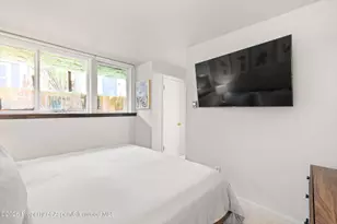 217 W Bleeker St, Aspen, CO 81611 - Photo 9
