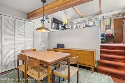 217 W Bleeker Street, Aspen, CO 81611 - Photo 5