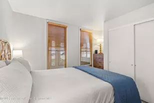 217 W Bleeker St, Aspen, CO 81611 - Photo 7