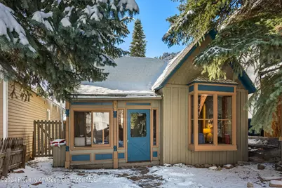 217 W Bleeker Street, Aspen, CO 81611 - Photo 17