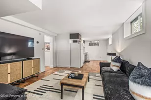 406 W Smuggler St, Aspen, CO 81611 - Photo 23