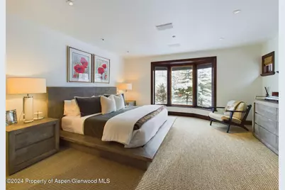 910 E Cooper Avenue, Aspen, CO 81611 - Photo 17