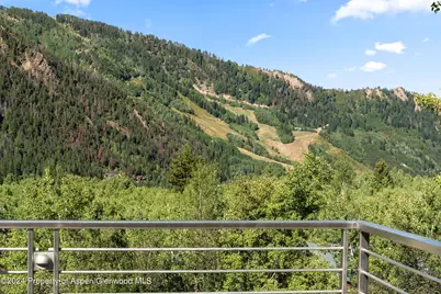 552 Mountain Laurel Drive, Aspen, CO 81611 - Photo 45