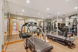 300 Eagle Pines Dr, Aspen, CO 81611 - Photo 27