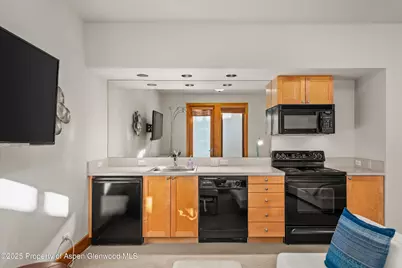 300 Eagle Pines Drive, Aspen, CO 81611 - Photo 31