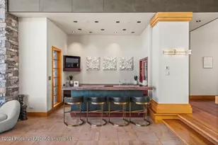 300 Eagle Pines Dr, Aspen, CO 81611 - Photo 5