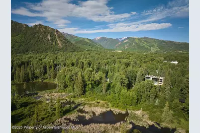 102 Wood Duck Lane, Aspen, CO 81611 - Photo 21