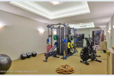 102 Wood Duck Lane, Aspen, CO 81611 - Photo 19