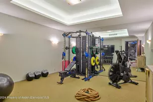 102 Wood Duck Ln, Aspen, CO 81611 - Photo 19