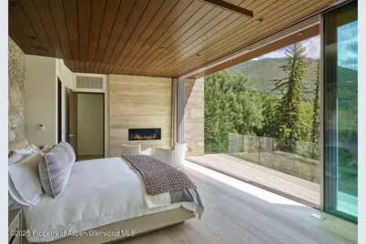 102 Wood Duck Lane, Aspen, CO 81611 - Photo 11