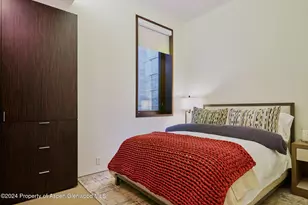 102 Wood Duck Ln, Aspen, CO 81611 - Photo 17