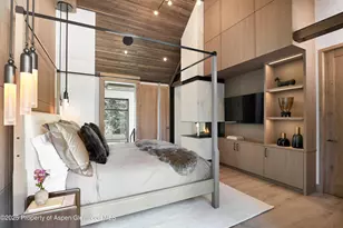 411 Pearl Ct, Aspen, CO 81611 - Photo 19