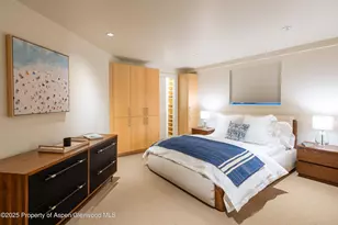 506 W Hallam St, Aspen, CO 81611 - Photo 31