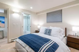 506 W Hallam St, Aspen, CO 81611 - Photo 47