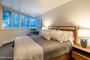 506 W Hallam St, Aspen, CO 81611 - Photo 25