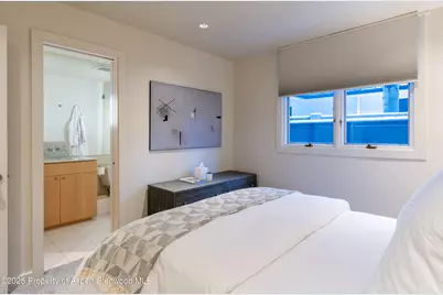 506 W Hallam Street, Aspen, CO 81611 - Photo 29