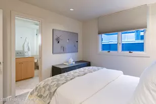 506 W Hallam St, Aspen, CO 81611 - Photo 29