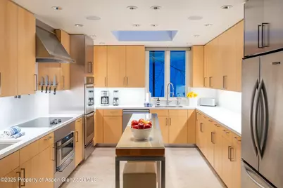 506 W Hallam Street, Aspen, CO 81611 - Photo 11