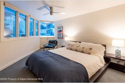 506 W Hallam Street, Aspen, CO 81611 - Photo 19