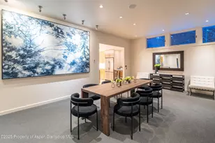 506 W Hallam St, Aspen, CO 81611 - Photo 9