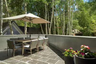 506 W Hallam Street, Aspen, CO 81611 - Photo 51