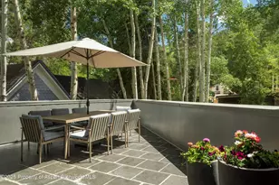 506 W Hallam St, Aspen, CO 81611 - Photo 51