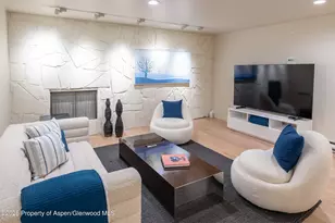 506 W Hallam St, Aspen, CO 81611 - Photo 37