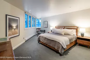 506 W Hallam St, Aspen, CO 81611 - Photo 23