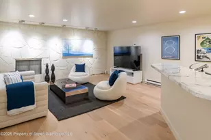 506 W Hallam St, Aspen, CO 81611 - Photo 41