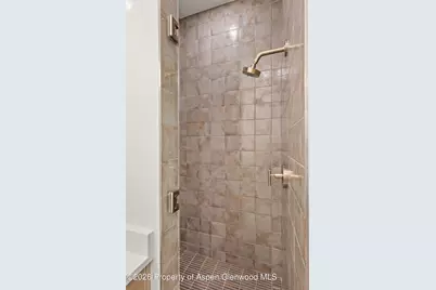 860 Perry Ridge, Carbondale, CO 81623 - Photo 41