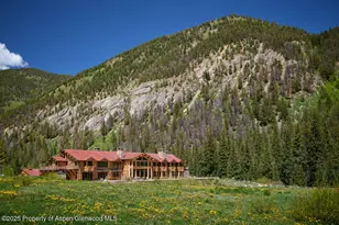 125 Rooney Cir, Aspen, CO 81611 - Photo 5