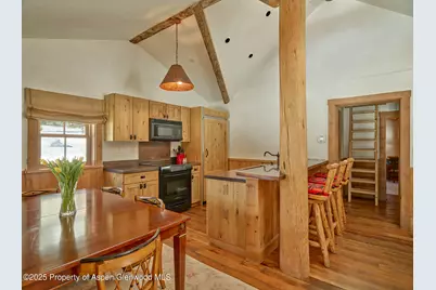 125 Rooney Circle, Aspen, CO 81611 - Photo 47